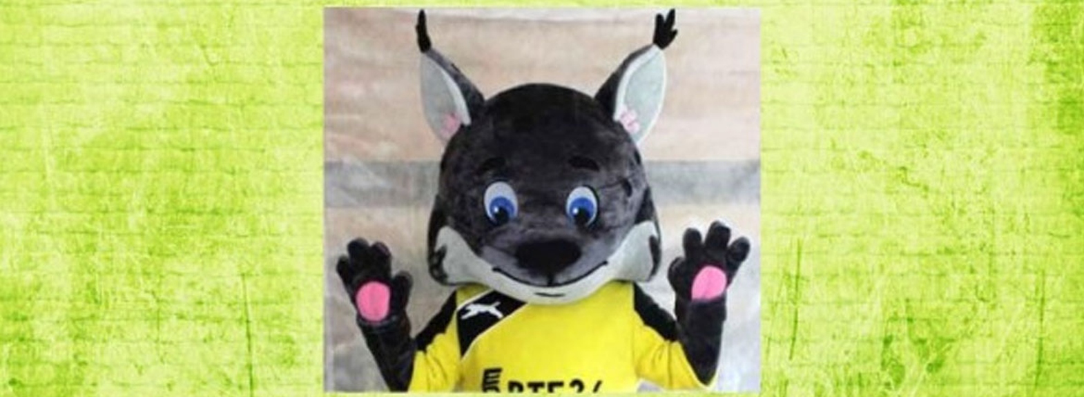 Рысь – Талисман Команды-Победителя