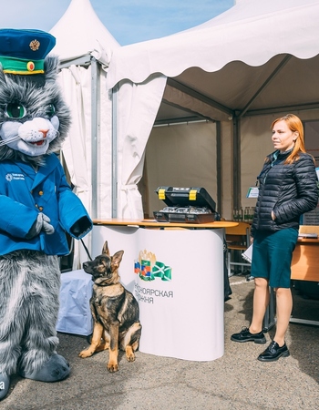 Купить Ростовая кукла кот Кедрик