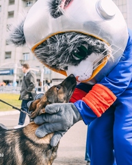 Ростовая кукла кот Космонавт