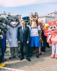 Ростовая кукла Кот Серый