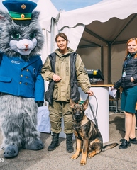 Ростовая кукла Кот Серый