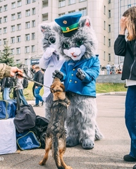 Ростовая кукла Кот Серый