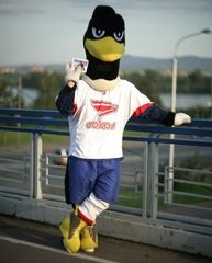 Ростовая кукла Сокол маскот черный