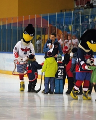 Ростовая кукла Сокол маскот черный