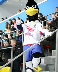 Ростовая кукла Сокол маскот черный